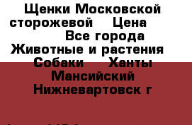 Щенки Московской сторожевой  › Цена ­ 25 000 - Все города Животные и растения » Собаки   . Ханты-Мансийский,Нижневартовск г.